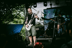 omegadt-12