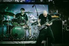 omegadt-64