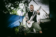 omegadt-8