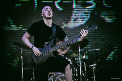 omegadt-23