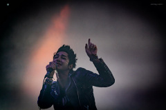 palaye-13