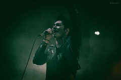 palaye-15