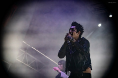 palaye-31