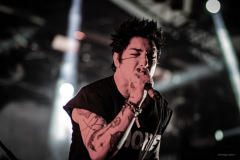 palaye-43