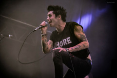 palaye-6