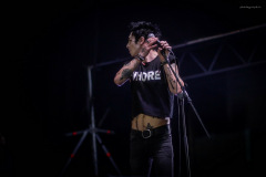 palaye-65