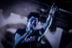 palaye-70