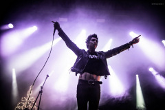 palaye-82