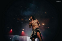 palaye-105