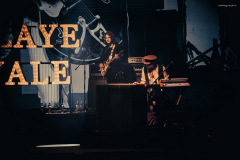 palaye-152