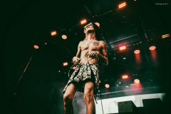 palaye-49
