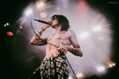 palaye-52