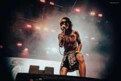 palaye-53
