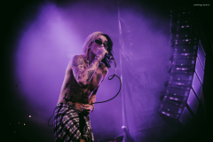 palaye-60