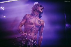 palaye-64