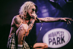 palaye-65