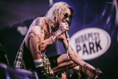 palaye-66