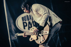 palaye-79