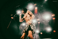 palaye-85
