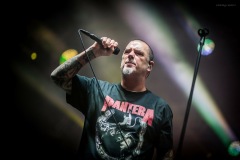 pantera-14