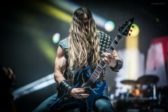 pantera-15