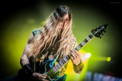 pantera-17