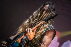 pantera-29