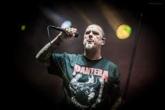 pantera-46