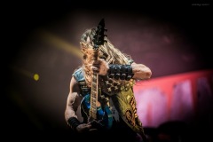 pantera-62