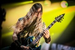 pantera-63