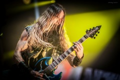 pantera-64