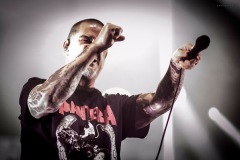 pantera-69