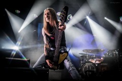 pantera