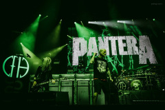 pantera25-115