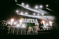 pantera25-3