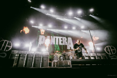 pantera25-40