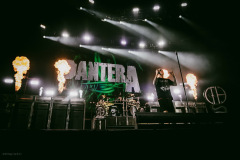 pantera25-94