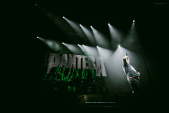 pantera25-96