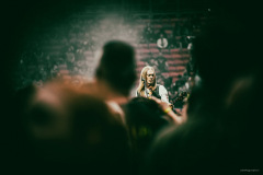 pantera-2