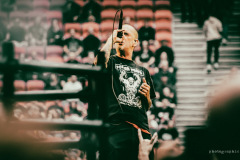 pantera-3
