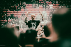 pantera-7