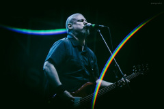 pro_pain-18