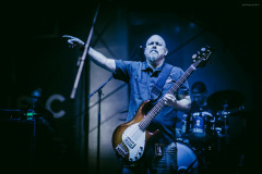pro_pain-20