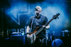 pro_pain-21
