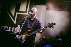 pro_pain-5