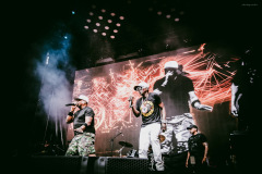 public_enemy-114