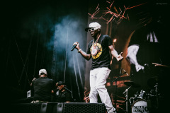 public_enemy-13