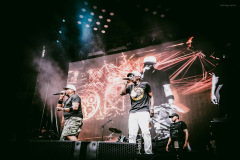 public_enemy-17