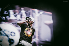public_enemy-39