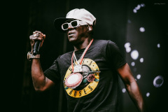 public_enemy-4